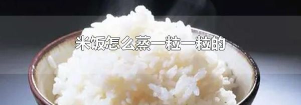 米饭怎么蒸一粒一粒的