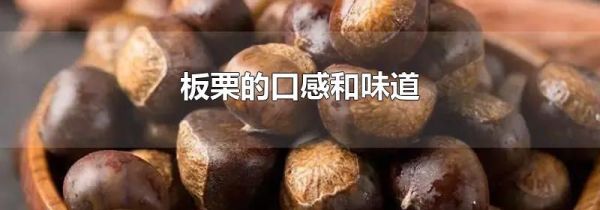 板栗的口感和味道
