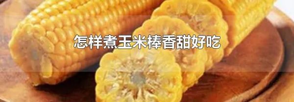 怎样煮玉米棒香甜好吃