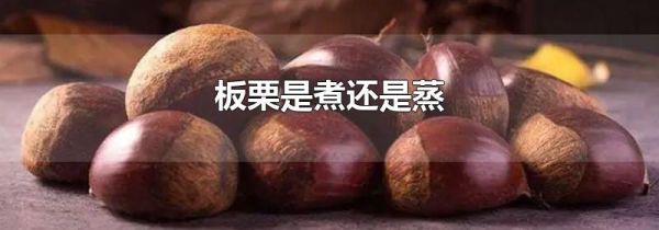 板栗是煮还是蒸