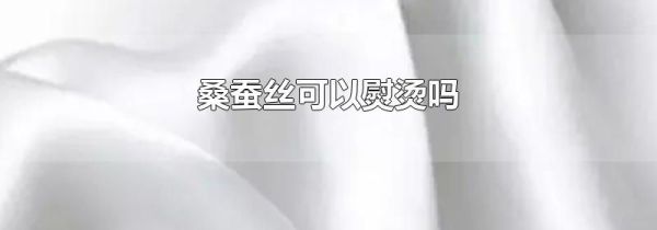 桑蚕丝可以熨烫吗