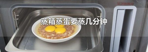 蒸箱蒸蛋要蒸几分钟