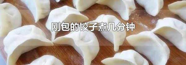 刚包的饺子煮几分钟