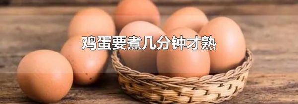 鸡蛋要煮几分钟才熟