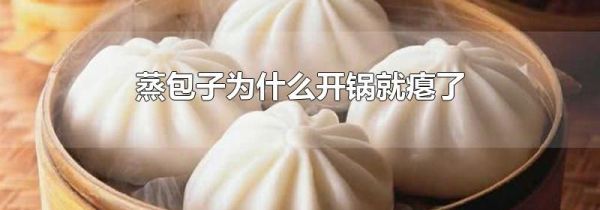 蒸包子为什么开锅就瘪了