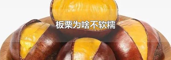 板栗为啥不软糯