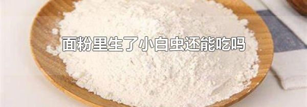 面粉里生了小白虫还能吃吗