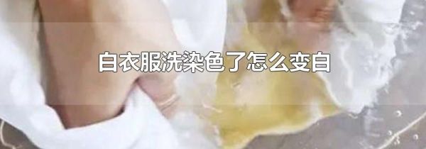 白衣服洗染色了怎么变白
