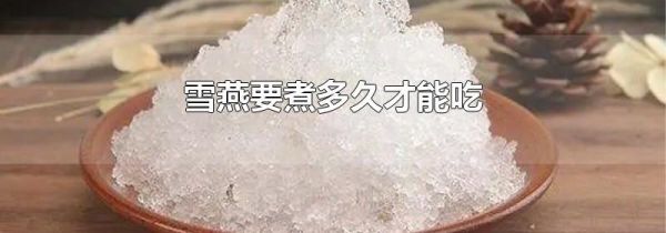 雪燕要煮多久才能吃