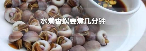 水煮香螺要煮几分钟