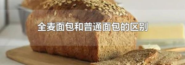 全麦面包和普通面包的区别