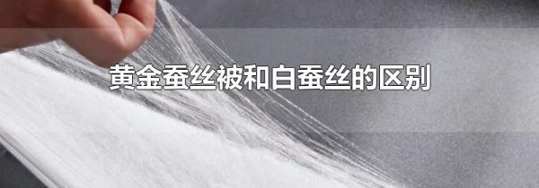 黄金蚕丝被和白蚕丝的区别