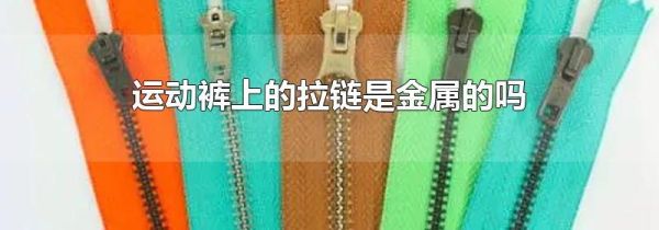 运动裤上的拉链是金属的吗