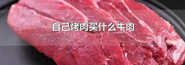 自己烤肉买什么牛肉