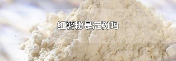 红薯粉是淀粉吗