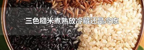 三色糙米煮熟放冷藏还是冷冻