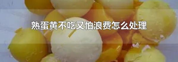 熟蛋黄不吃又怕浪费怎么处理