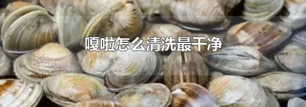 嘎啦怎么清洗最干净