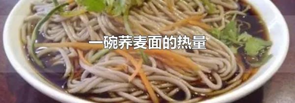 一碗荞麦面的热量