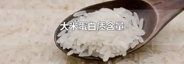 大米蛋白质含量