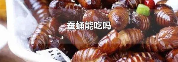 蚕蛹能吃吗