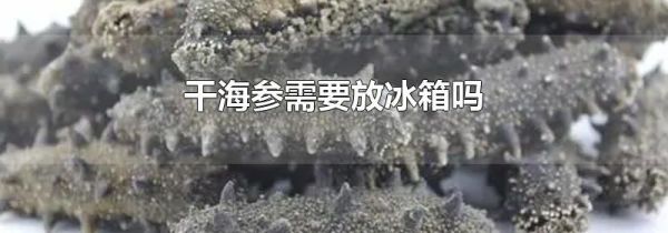 干海参需要放冰箱吗