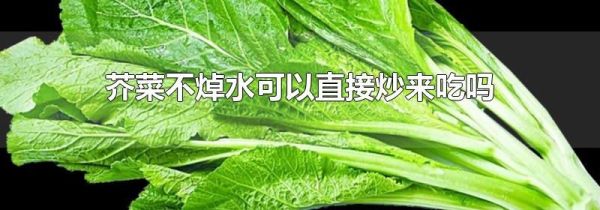 芥菜不焯水可以直接炒来吃吗