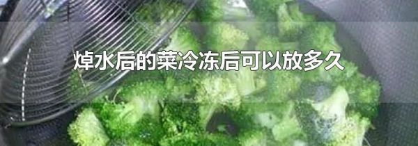 焯水后的菜冷冻后可以放多久