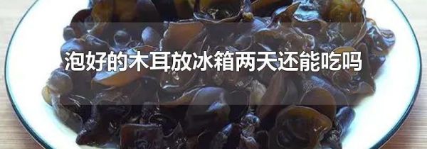 泡好的木耳放冰箱两天还能吃吗