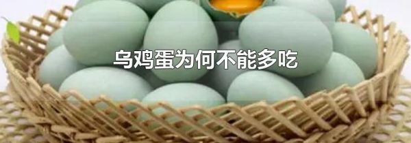 乌鸡蛋为何不能多吃