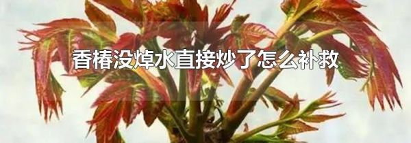 香椿没焯水直接炒了怎么补救
