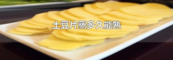 土豆片蒸多久能熟