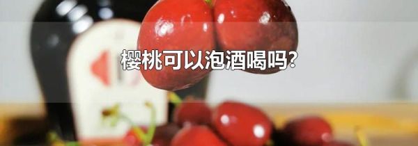 樱桃可以泡酒喝吗?