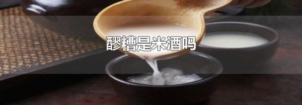 醪糟是米酒吗