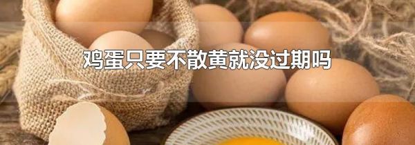 鸡蛋只要不散黄就没过期吗