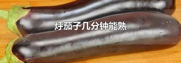 烀茄子几分钟能熟