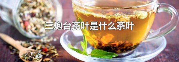 三炮台茶叶是什么茶叶