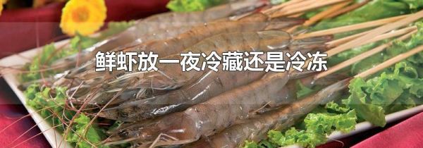 鲜虾放一夜冷藏还是冷冻