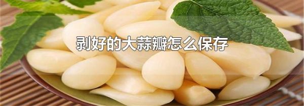 剥好的大蒜瓣怎么保存