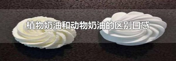 植物奶油和动物奶油的区别口感