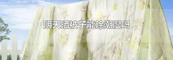 阴天晒被子能除潮湿吗