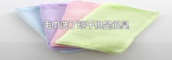 毛巾洗了晾干但是很臭