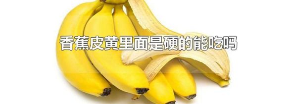 香蕉皮黄里面是硬的能吃吗