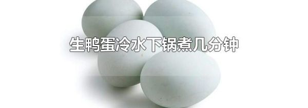 生鸭蛋冷水下锅煮几分钟