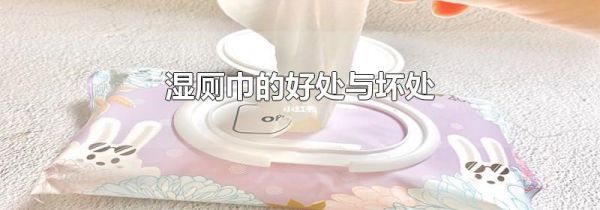 湿厕巾的好处与坏处