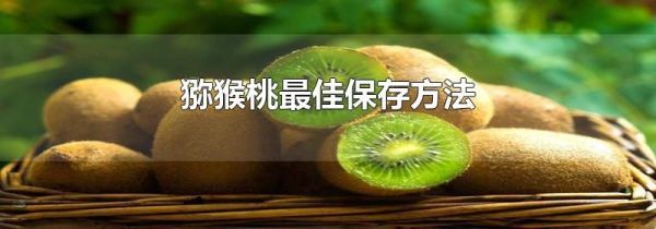 猕猴桃最佳保存方法