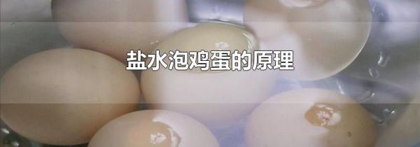 盐水泡鸡蛋的原理