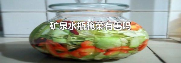 矿泉水瓶腌菜有害吗