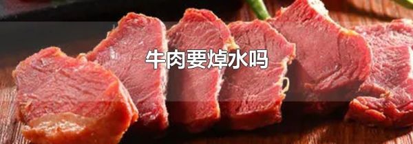 牛肉要焯水吗