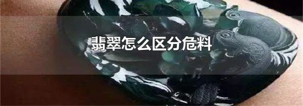 翡翠怎么区分危料